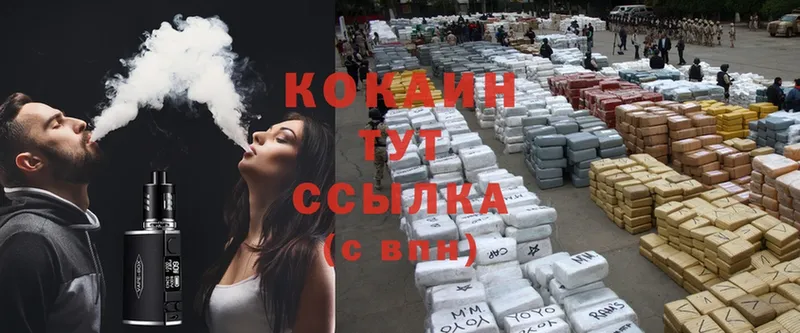 Cocaine FishScale  наркотики  MEGA как войти  Оренбург 